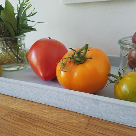 אוסטריך-ווינקל Webergarten מראה חיצוני תמונה