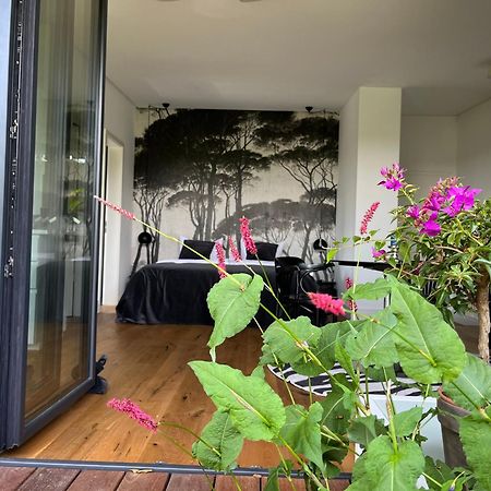 אוסטריך-ווינקל Webergarten מראה חיצוני תמונה