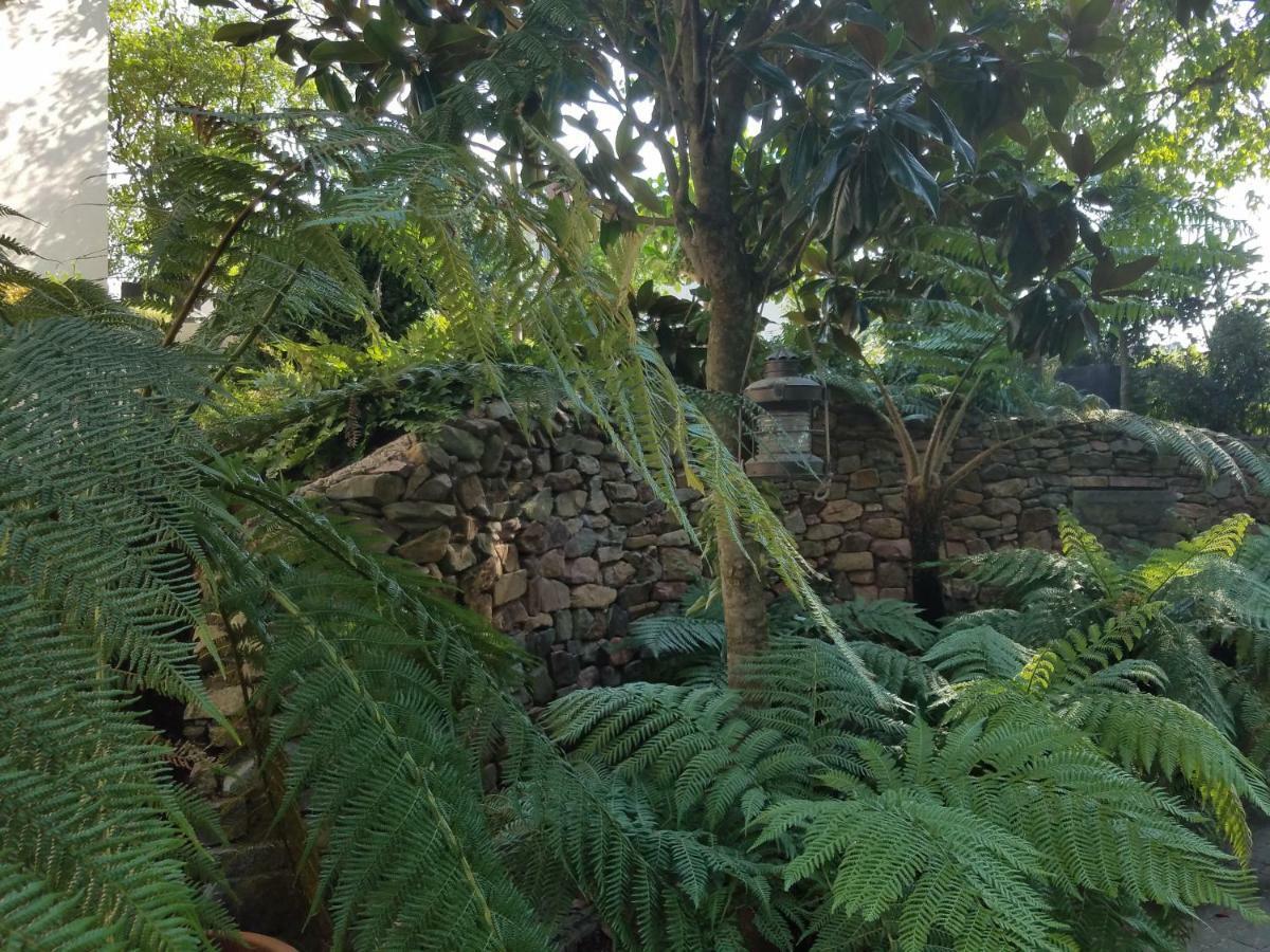 אוסטריך-ווינקל Webergarten מראה חיצוני תמונה