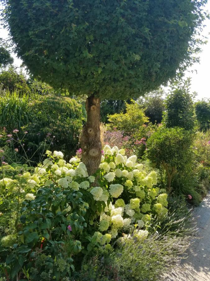 אוסטריך-ווינקל Webergarten מראה חיצוני תמונה